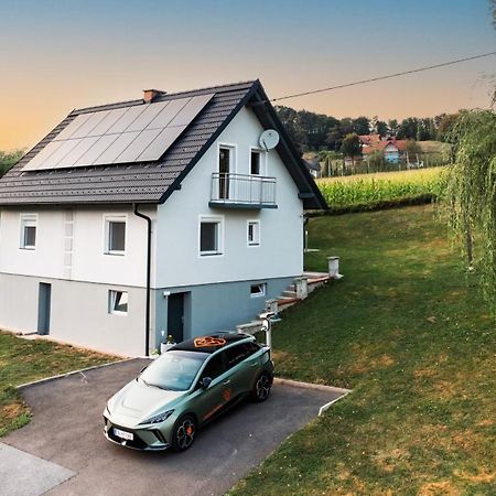 Ferienhaus Treissmann An Der Weinstrasse Leutschach Kültér fotó