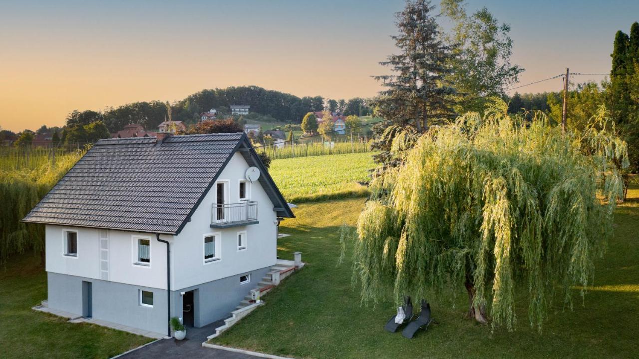 Ferienhaus Treissmann An Der Weinstrasse Leutschach Kültér fotó