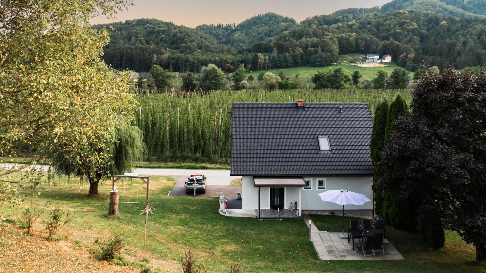 Ferienhaus Treissmann An Der Weinstrasse Leutschach Kültér fotó